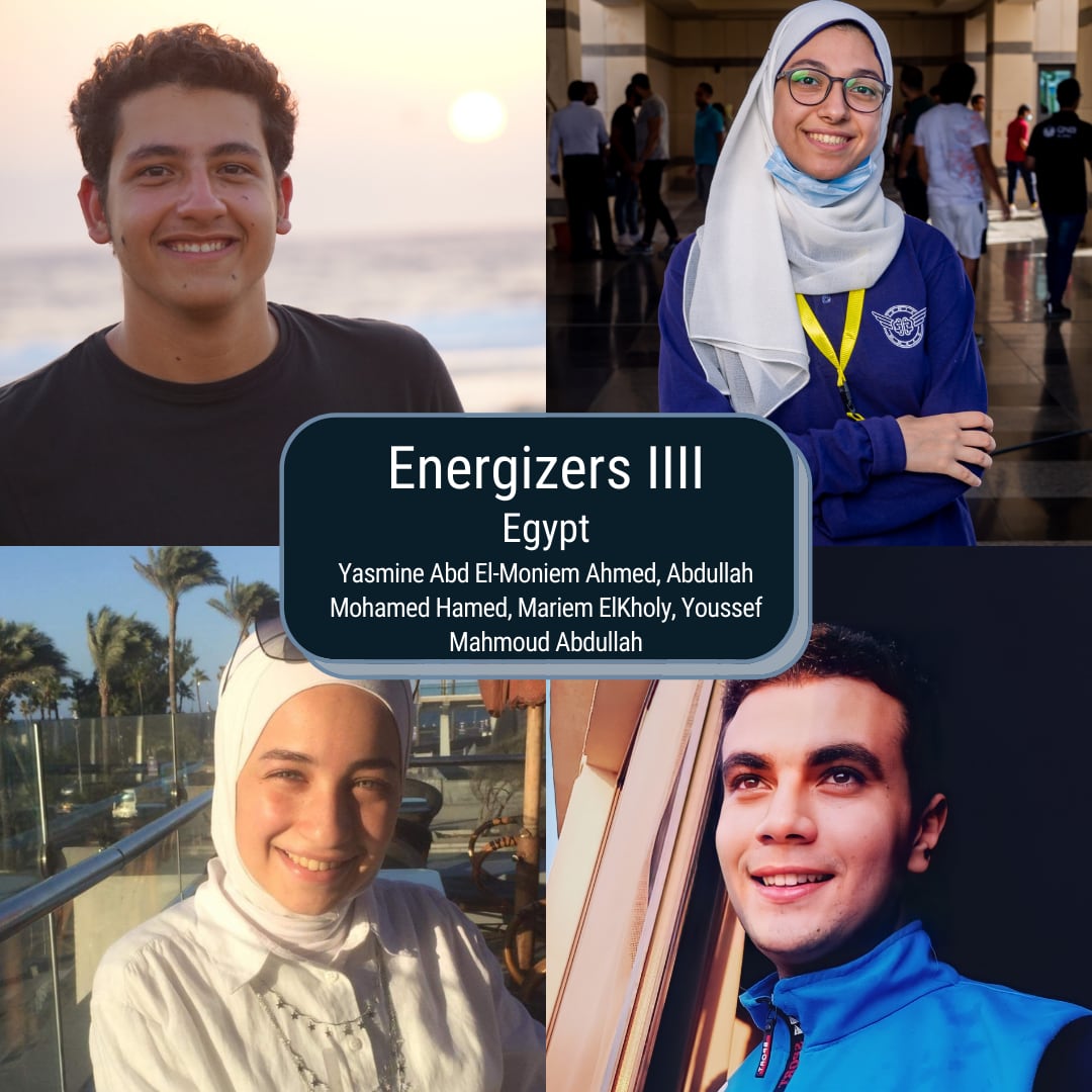 Abdullah Mohamed Hamed, Yasmine Abd El-Moniem Ahmed, Youssef Mahmoud, Mariem Elkholy